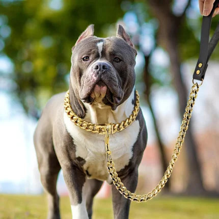 304 Stainless Staffy Chain