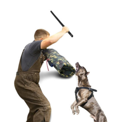 Staffy Universe Arm Sleeve